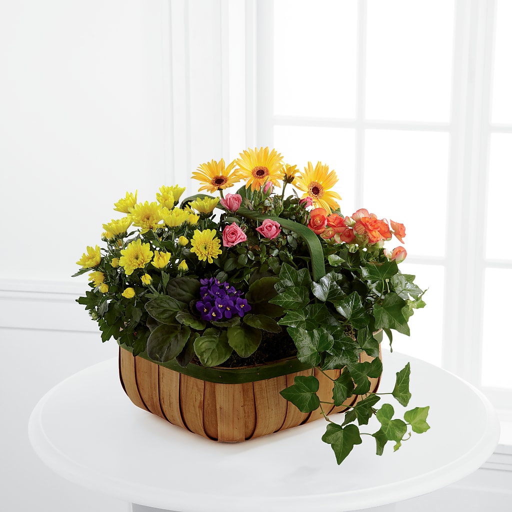 Gentle Blossoms Basket – Beantown Florist, Everett MA