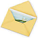 Greeting Card – Beantown Florist, Everett MA