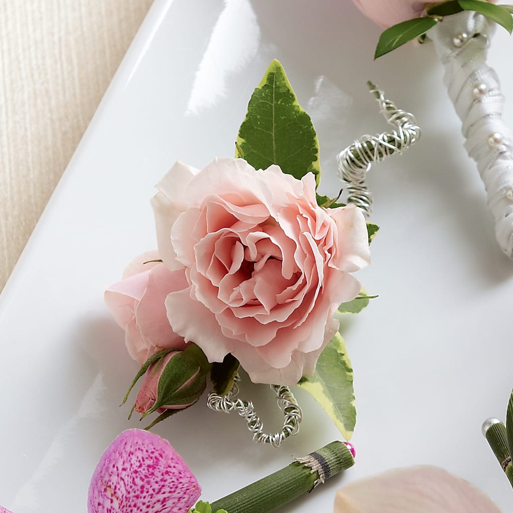 Pink Spray Rose Boutonniere – Beantown Florist, Everett MA