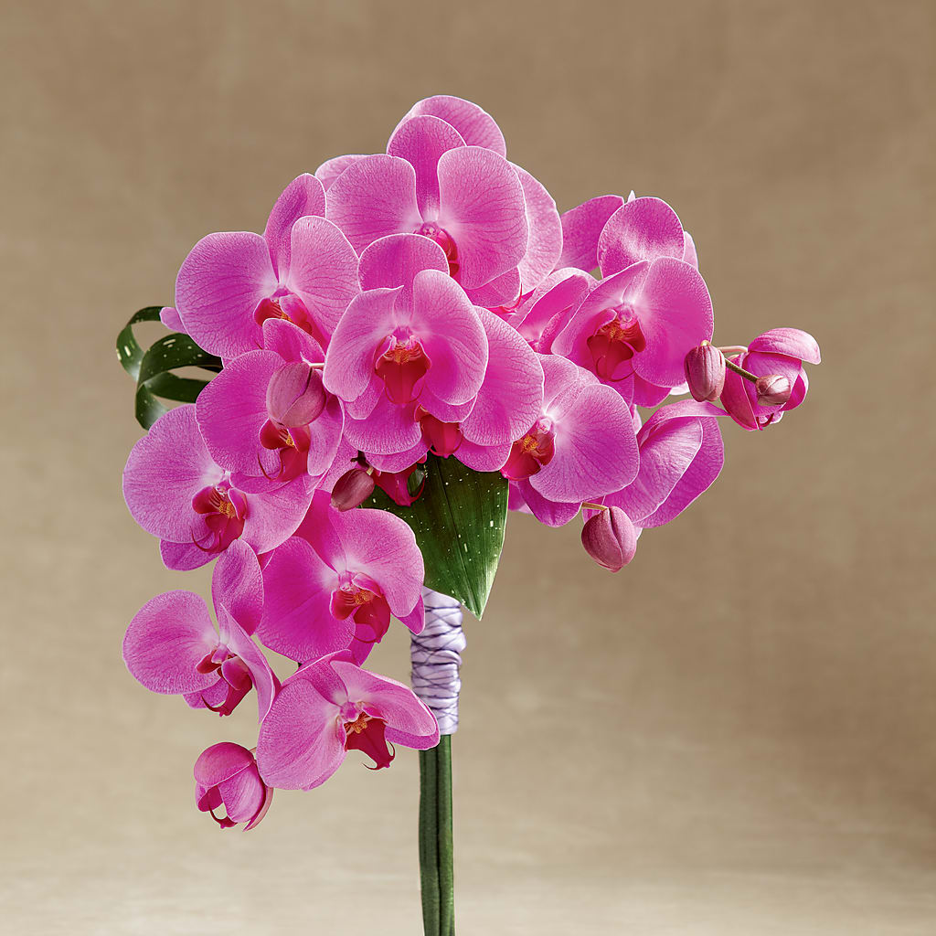 Glorious Bouquet – Beantown Florist, Everett MA
