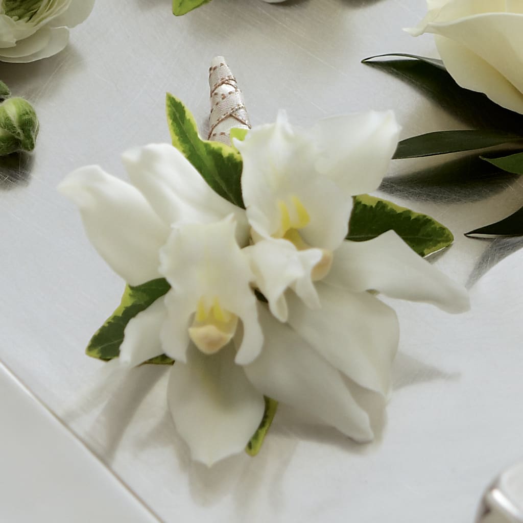 White Mini Cymbidium Boutonniere – Beantown Florist, Everett MA