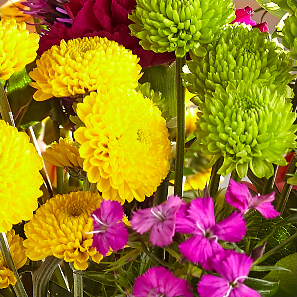 Bold & Bright – A Florist Original –  Beantown Florist, Everett MA