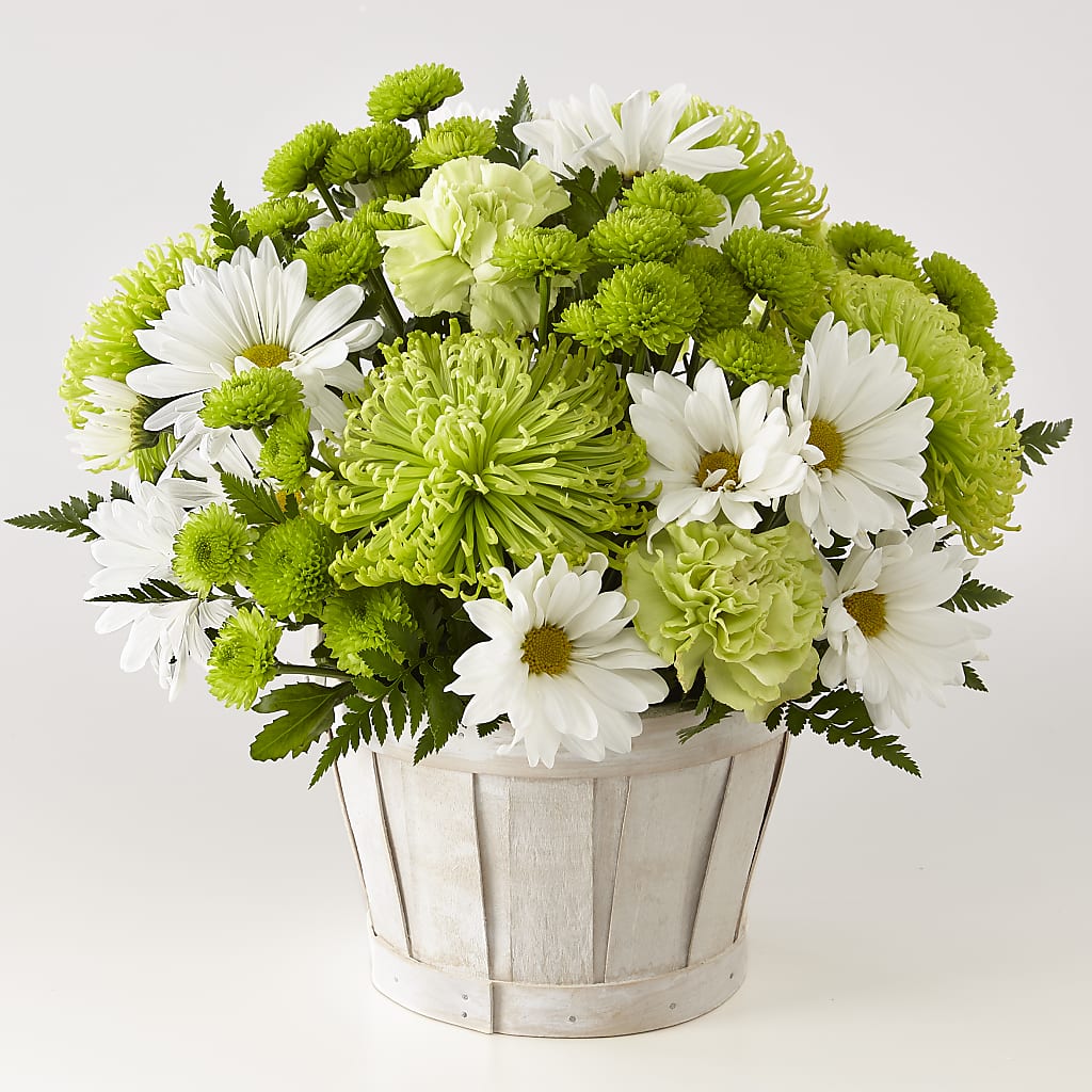 Lucky Charm Basket (Standard) –  Beantown Florist, Everett MA