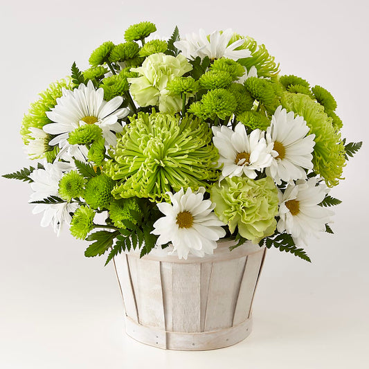 Lucky Charm Basket (Standard) –  Beantown Florist, Everett MA
