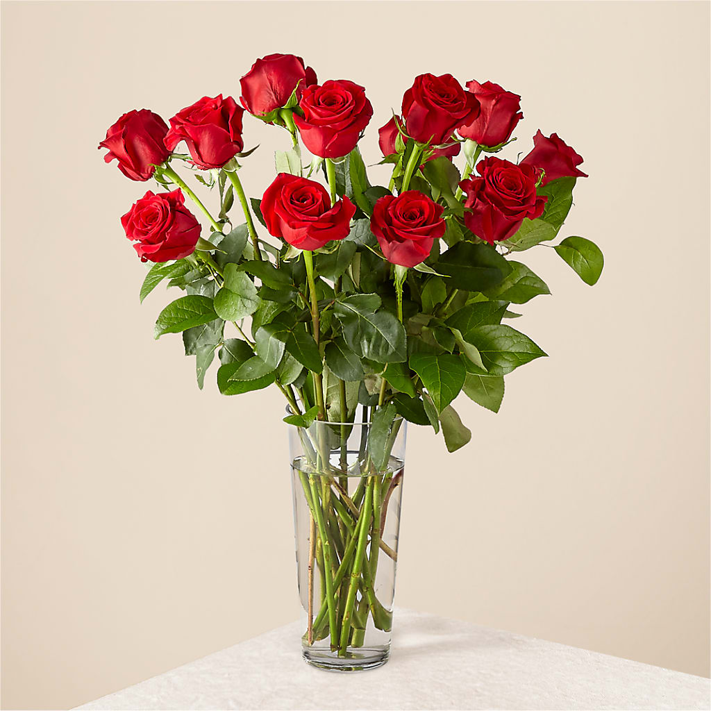 Long Stem Red Rose Bouquet –  Beantown Florist, Everett MA