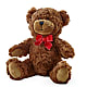 Adorable Plush Bear –  Beantown Florist, Everett MA