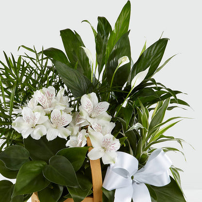 Peace & Serenity Dishgarden –  Beantown Florist, Everett MA