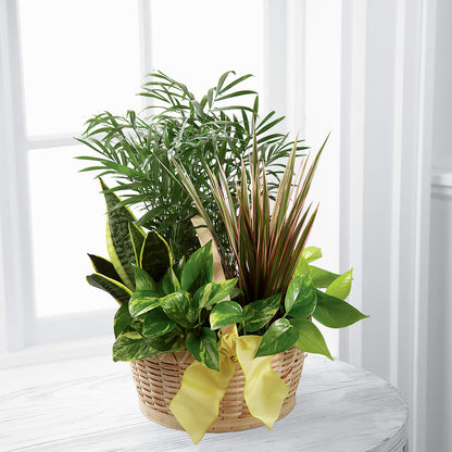 French Garden –  Beantown Florist, Everett MA