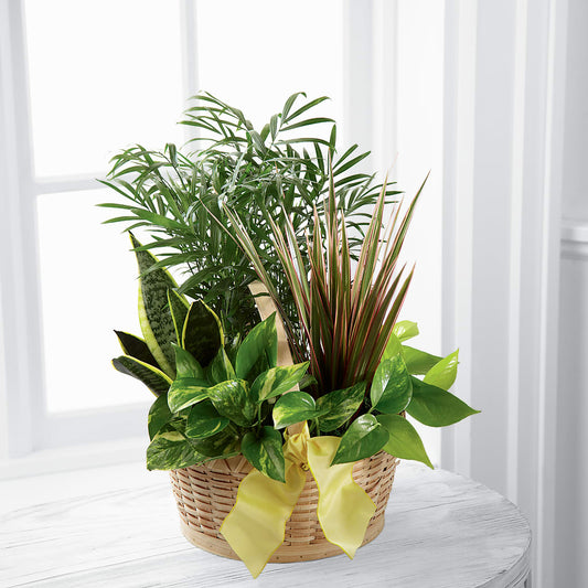 French Garden –  Beantown Florist, Everett MA
