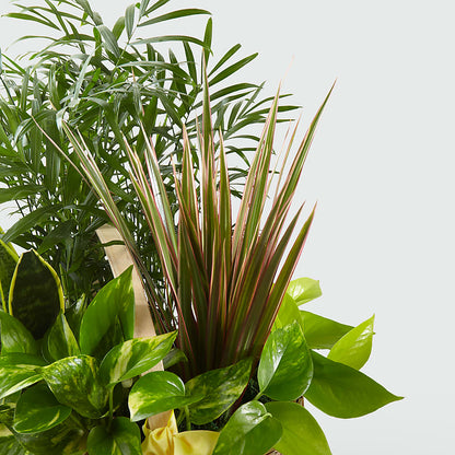 French Garden –  Beantown Florist, Everett MA