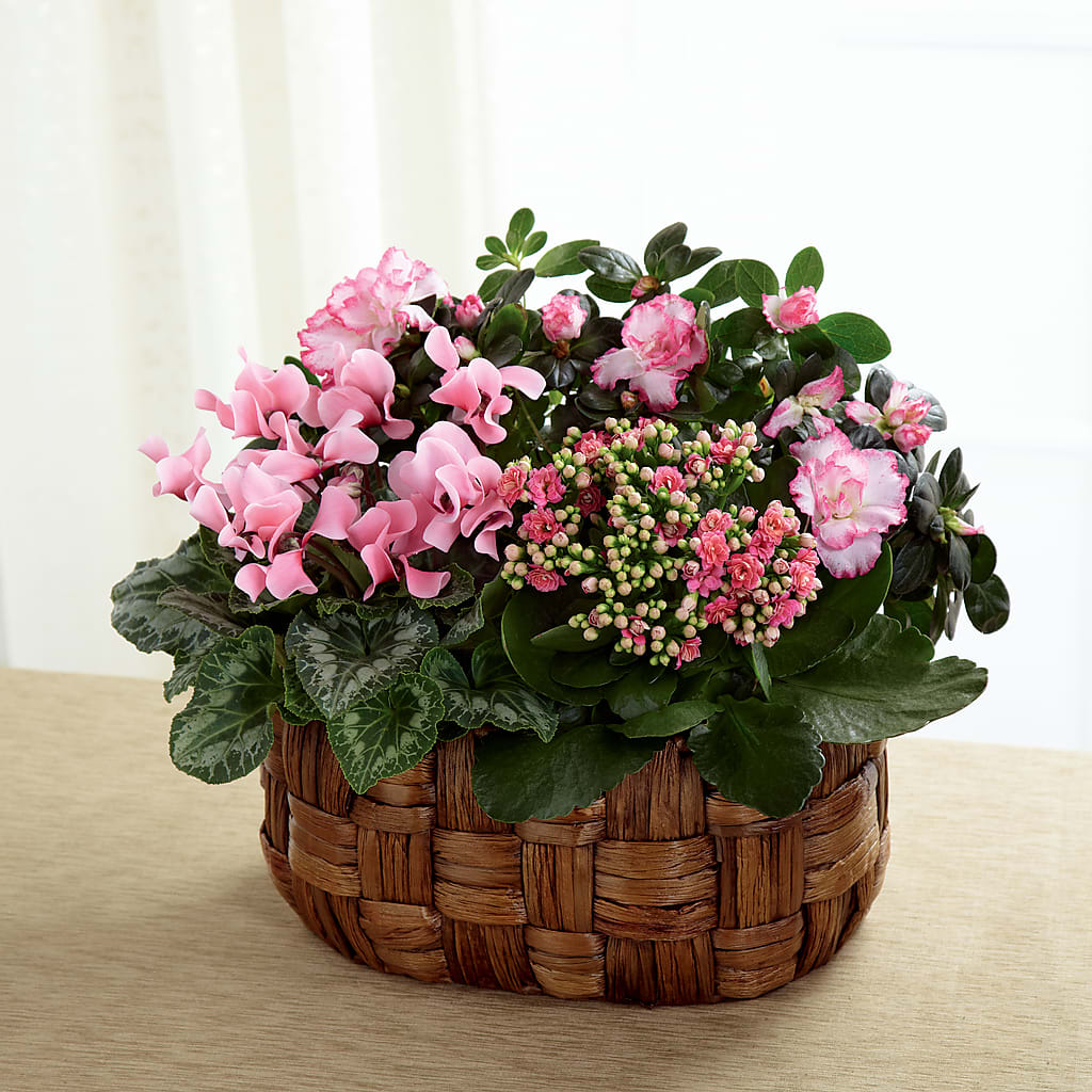 Pink Assortment –  Beantown Florist, Everett MA