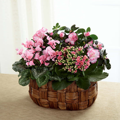 Pink Assortment –  Beantown Florist, Everett MA