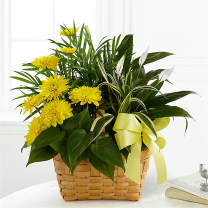 Loving Light Dishgarden –  Beantown Florist, Everett MA