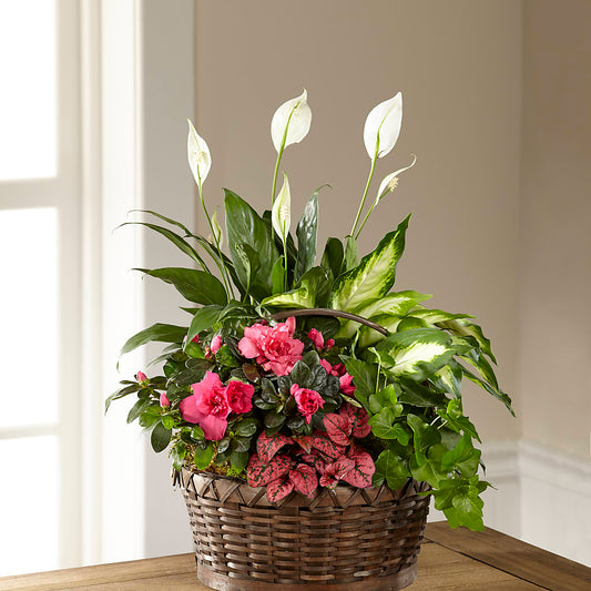 Dream in Pink Dishgarden –  Beantown Florist, Everett MA