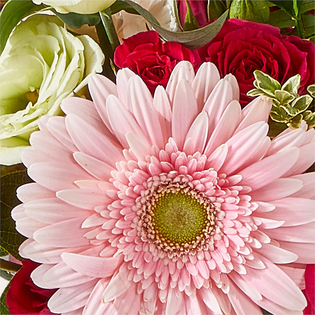 Too Cute Bouquet –  Beantown Florist, Everett MA