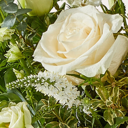 Cashmere Bouquet –  Beantown Florist, Everett MA