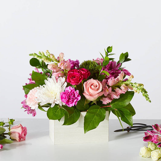 Sweetberry Box – A Florist Original –  Beantown Florist, Everett MA