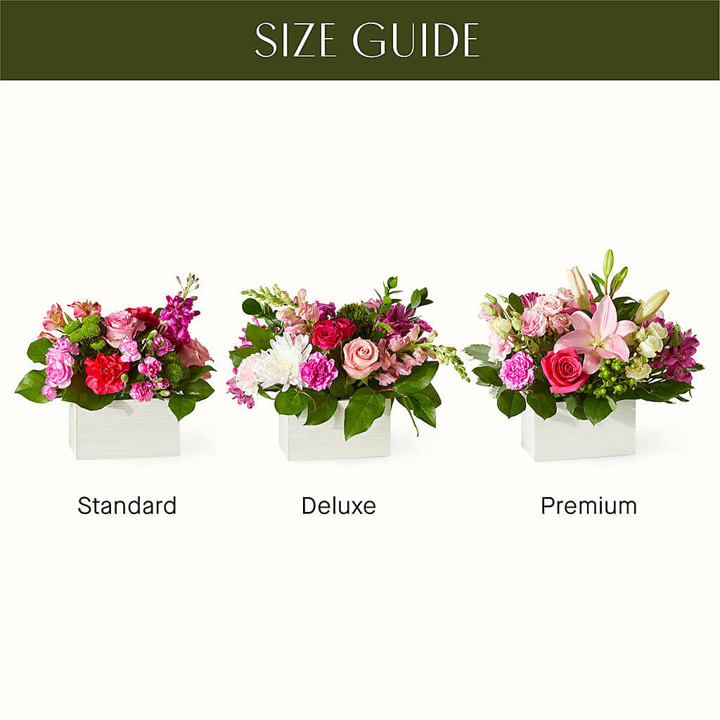 Sweetberry Box – A Florist Original –  Beantown Florist, Everett MA