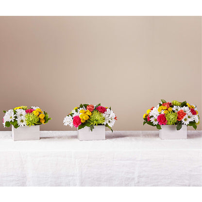 Sorbet Bouquet –  Beantown Florist, Everett MA