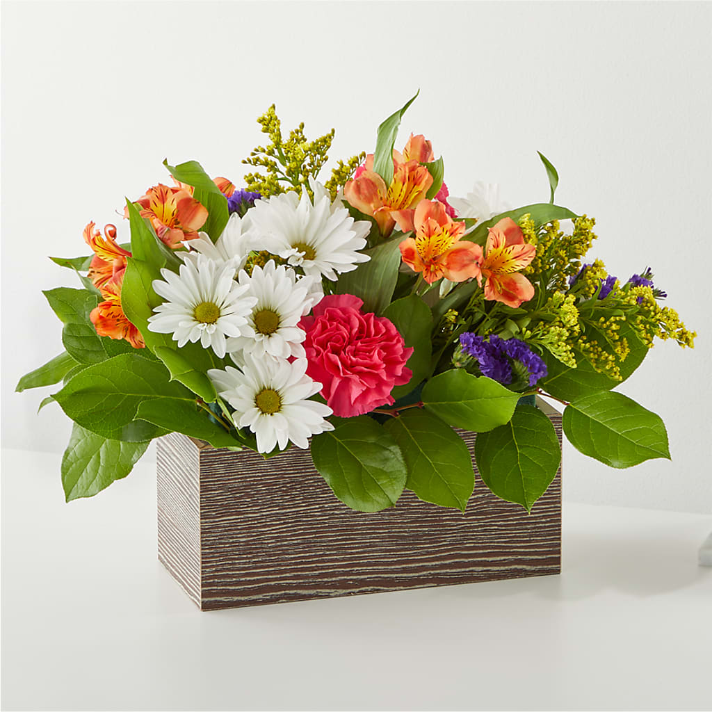 Oopsie Daisy Box Bouquet –  Beantown Florist, Everett MA