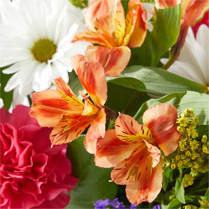 Oopsie Daisy Box Bouquet –  Beantown Florist, Everett MA