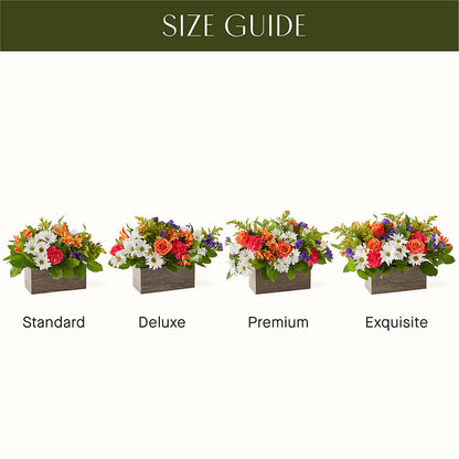 Oopsie Daisy Box Bouquet –  Beantown Florist, Everett MA
