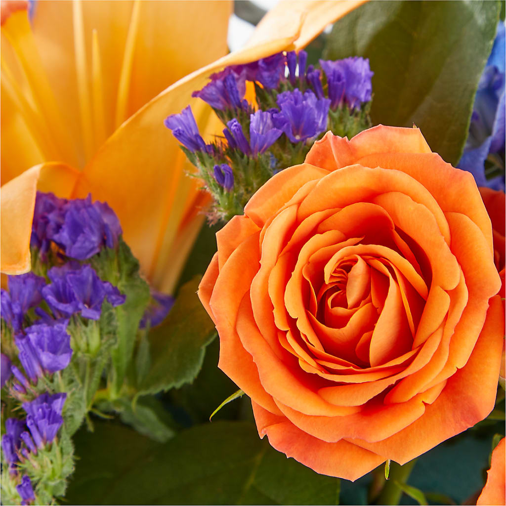 Radiant Citrus Box Bouquet –  Beantown Florist, Everett MA