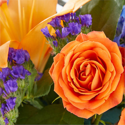 Radiant Citrus Box Bouquet –  Beantown Florist, Everett MA