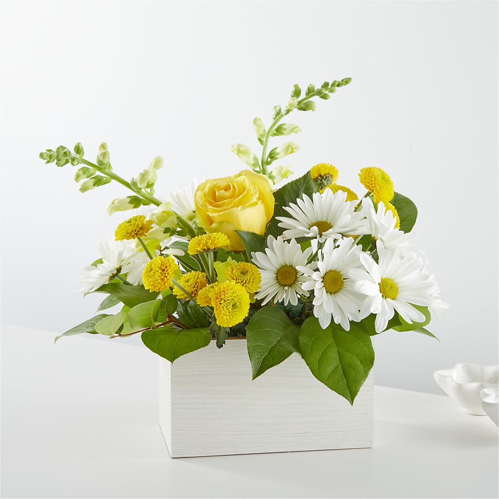 Sun Salutation Box Bouquet –  Beantown Florist, Everett MA