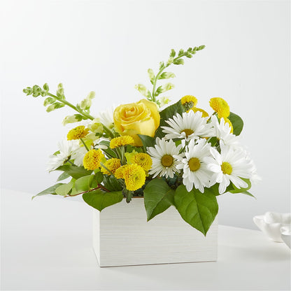 Sun Salutation Box Bouquet –  Beantown Florist, Everett MA