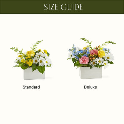Sun Salutation Box Bouquet –  Beantown Florist, Everett MA