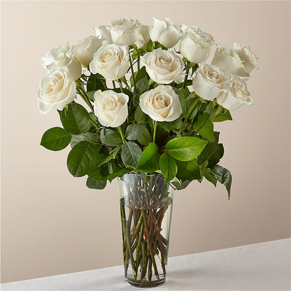 Long Stem White Rose Bouquet –  Beantown Florist, Everett MA
