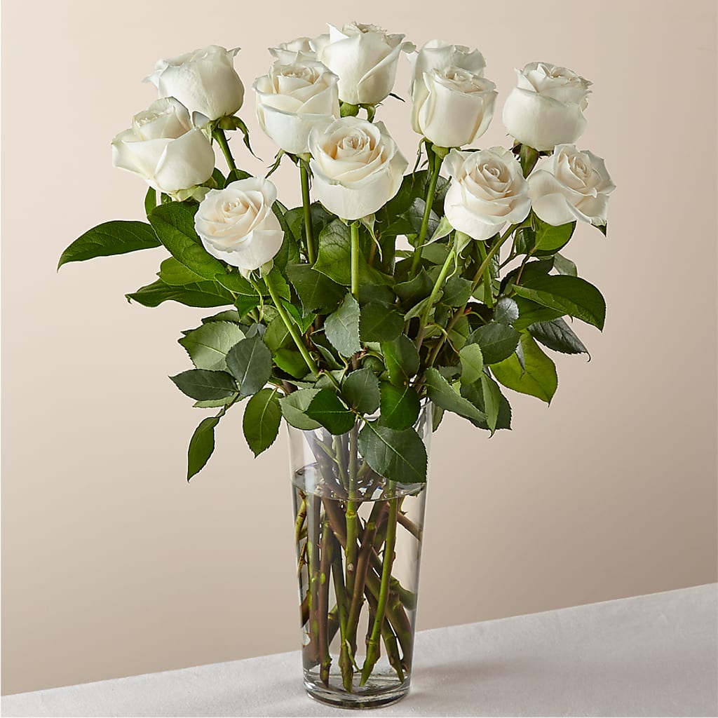 Long Stem White Rose Bouquet –  Beantown Florist, Everett MA