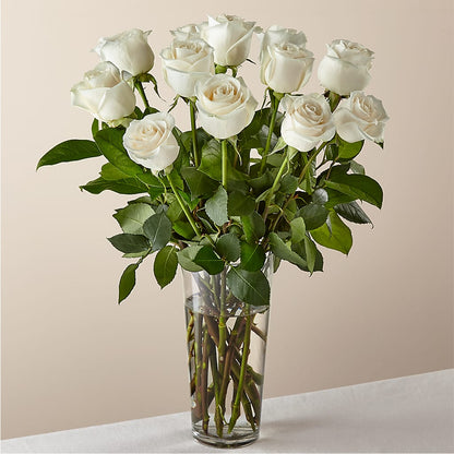 Long Stem White Rose Bouquet –  Beantown Florist, Everett MA