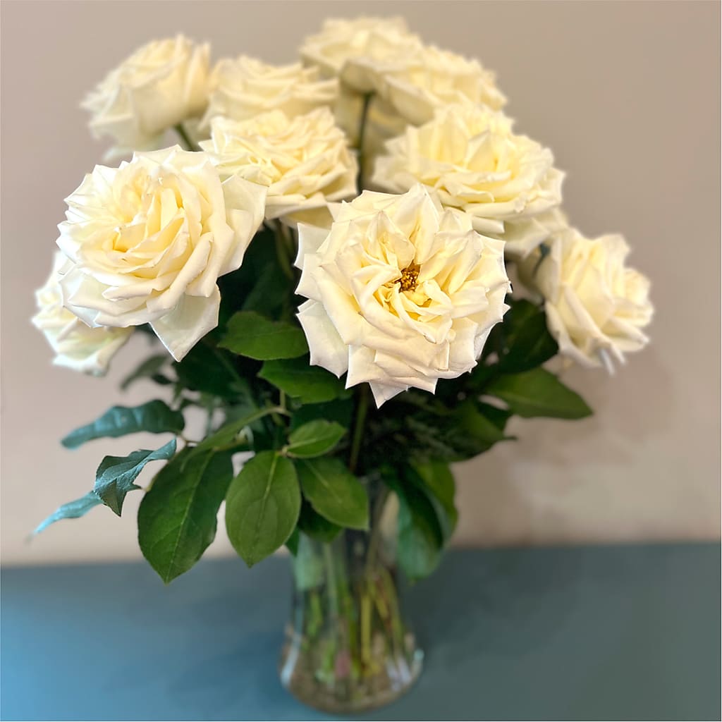 Long Stem Yellow Rose Bouquet –  Beantown Florist, Everett MA