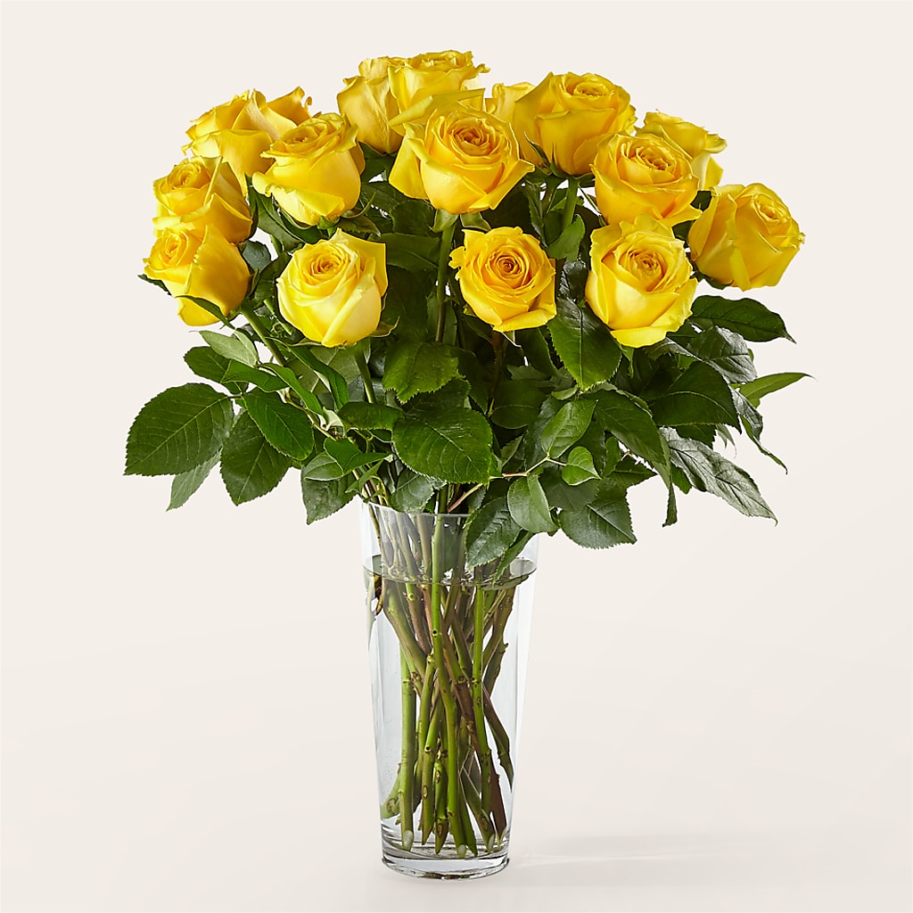 Long Stem Yellow Rose Bouquet –  Beantown Florist, Everett MA