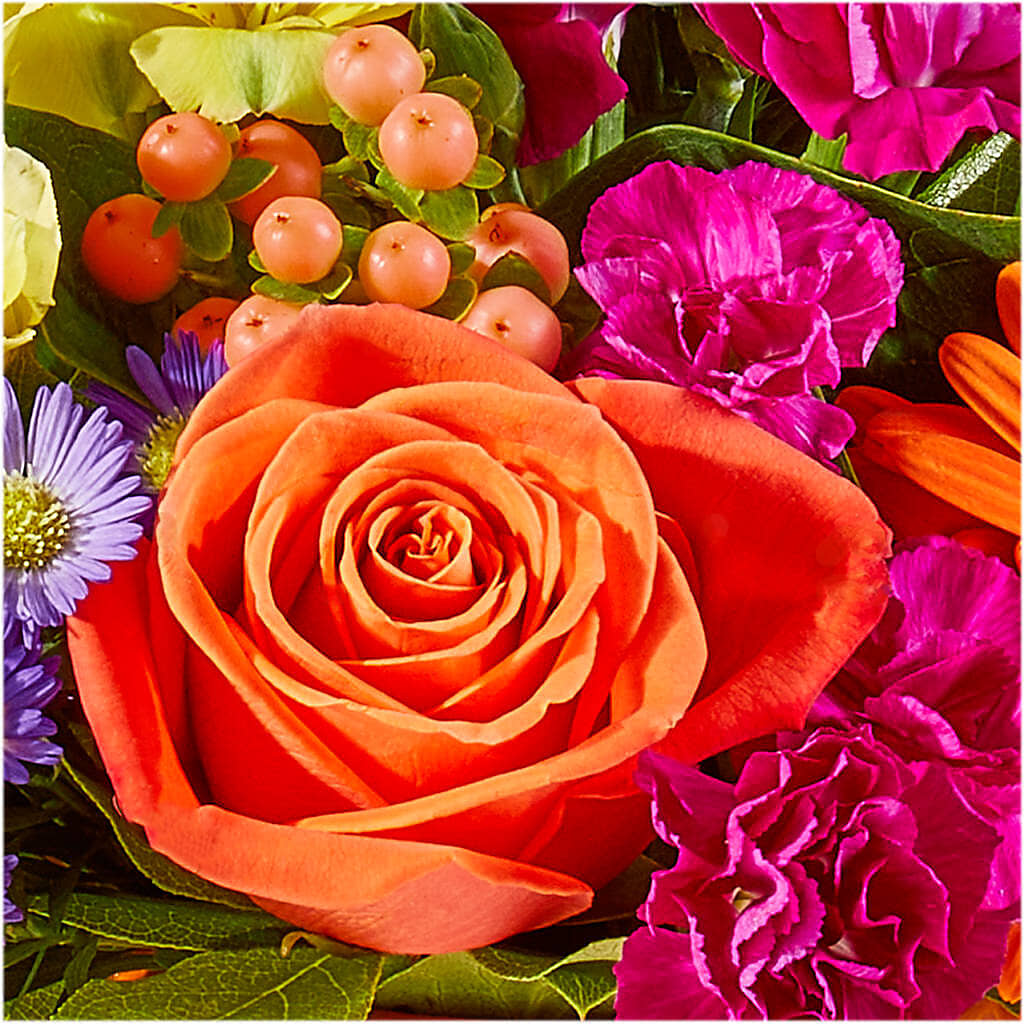Tricks & Treats Pumpkin –  Beantown Florist, Everett MA