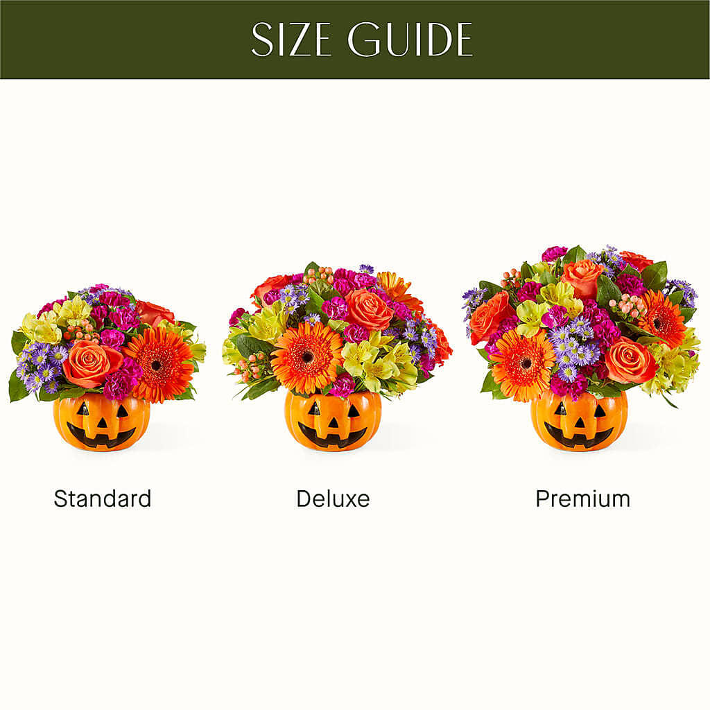 Tricks & Treats Pumpkin –  Beantown Florist, Everett MA
