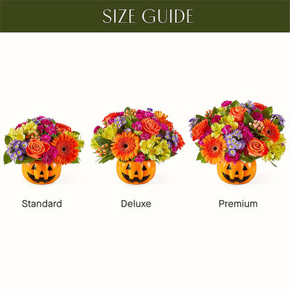 Tricks & Treats Pumpkin –  Beantown Florist, Everett MA