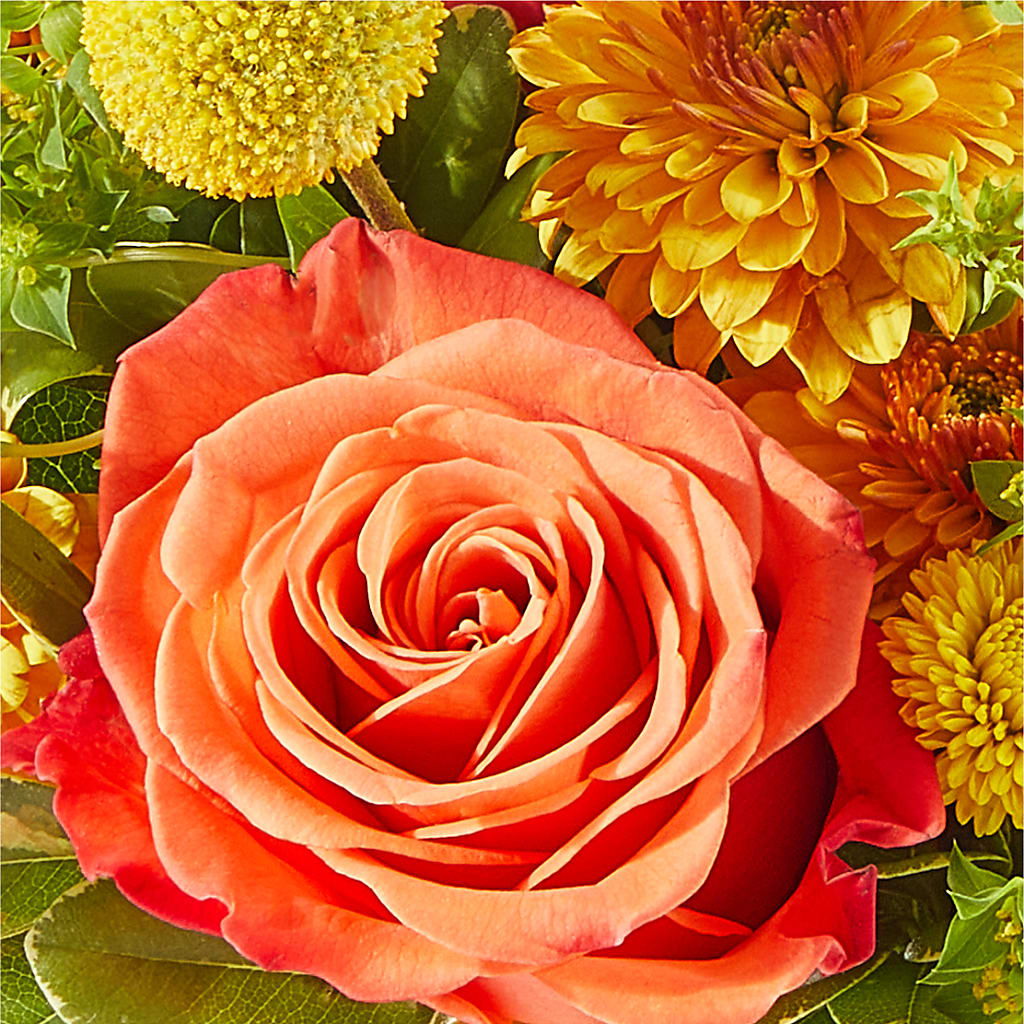 Gourdgeous Pumpkin –  Beantown Florist, Everett MA