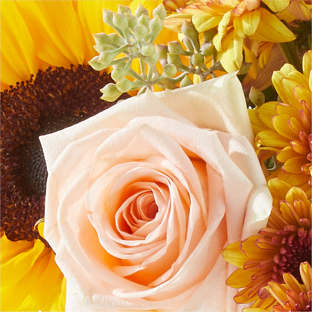 Pumpkin to Talk About Bouquet –  Beantown Florist, Everett MA