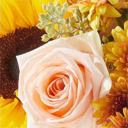 Pumpkin to Talk About Bouquet –  Beantown Florist, Everett MA
