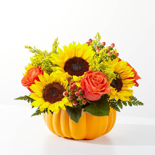 Pick of the Patch Pumpkin Bouquet –  Beantown Florist, Everett MA