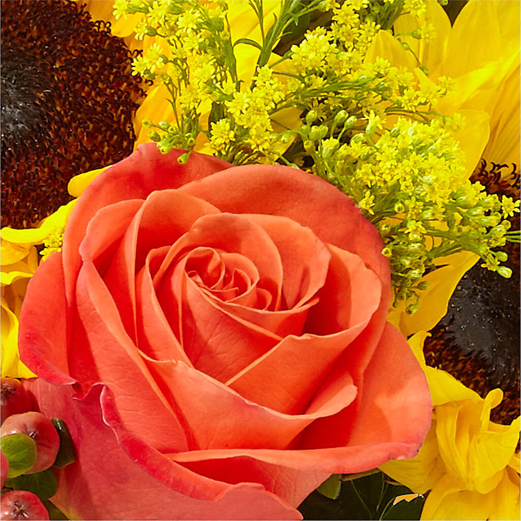 Pick of the Patch Pumpkin Bouquet –  Beantown Florist, Everett MA