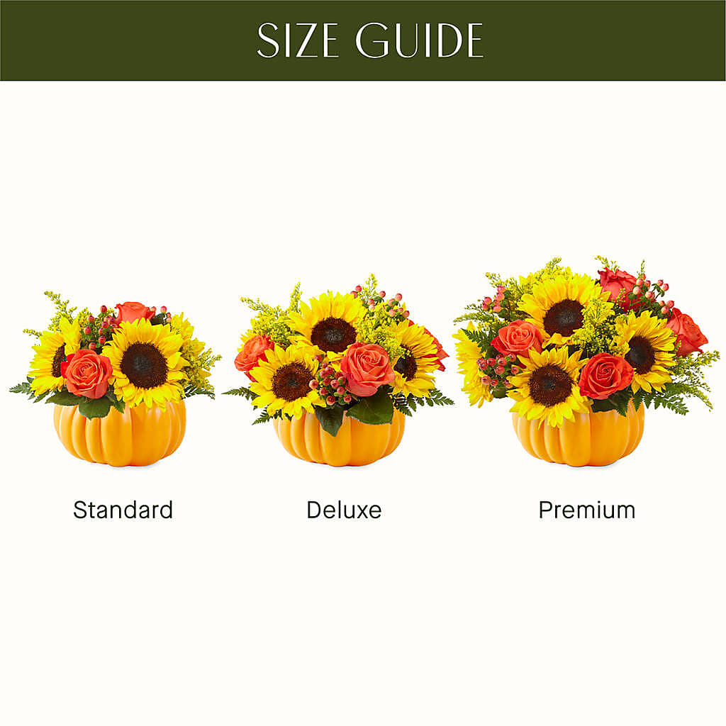 Pick of the Patch Pumpkin Bouquet –  Beantown Florist, Everett MA