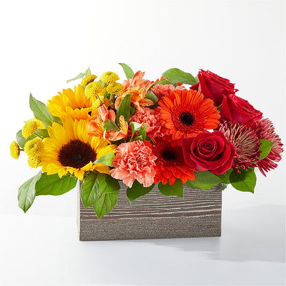 Autumn Orchard Bouquet –  Beantown Florist, Everett MA