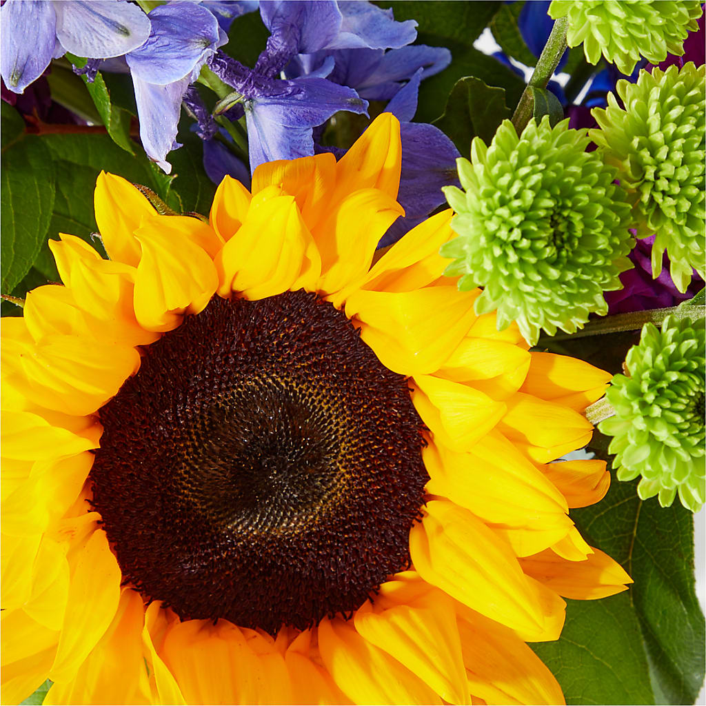 Catching Rays Bouquet –  Beantown Florist, Everett MA