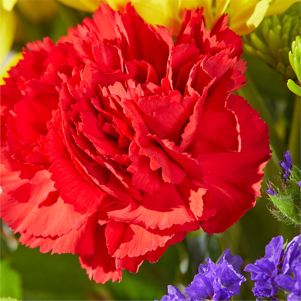 Brighter Days Bouquet –  Beantown Florist, Everett MA