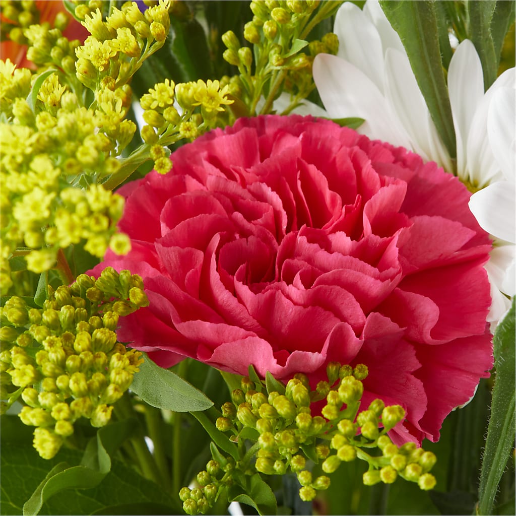 Oopsie Daisy Bouquet –  Beantown Florist, Everett MA