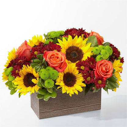 Happy Harvest Garden –  Beantown Florist, Everett MA